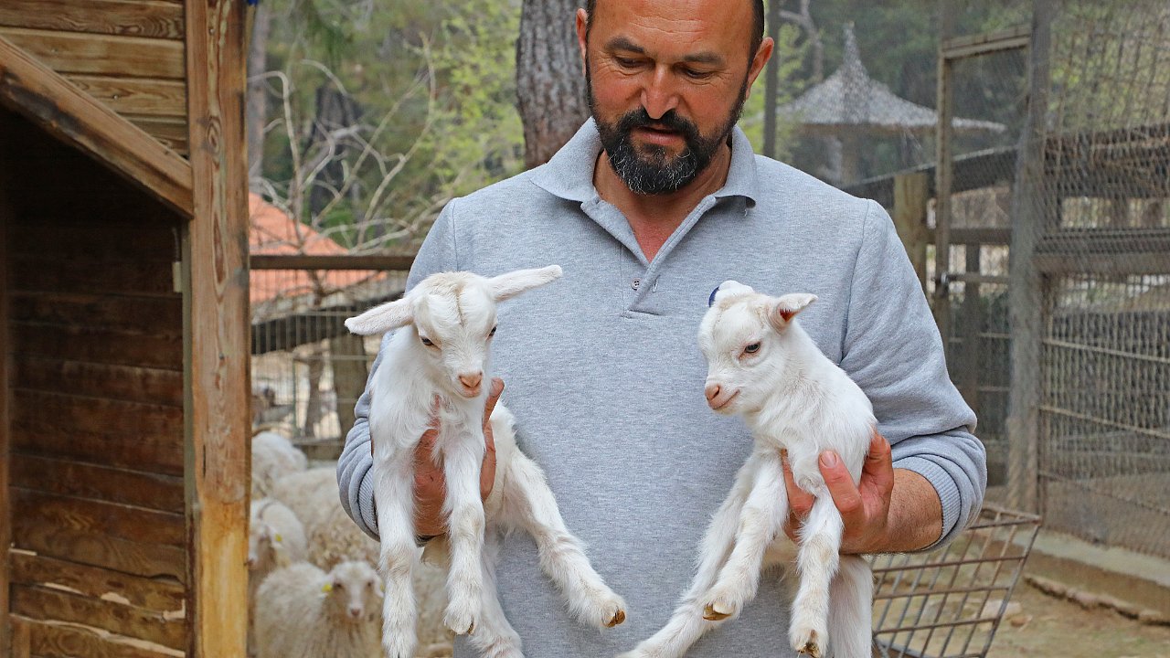 BAHAR GELDİ DOĞUM BEREKETİ ARTTI