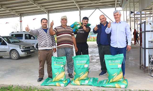 SİLAJLIK MISIR TOHUMU
