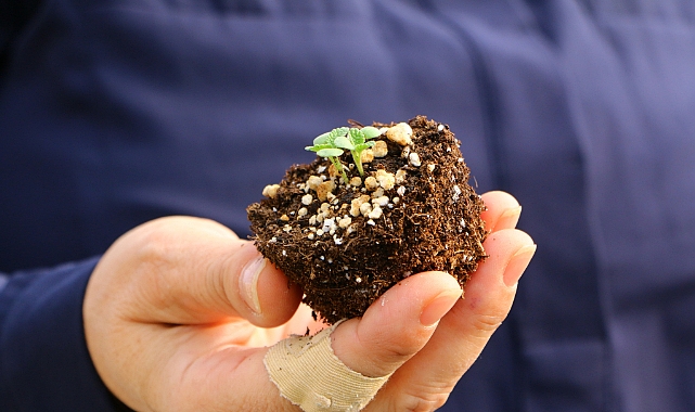 DÖŞEMEALTI’NA TARIM KAMPÜSÜ KURUYOR