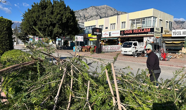 FIRTINANIN YARALARI SARILIYOR