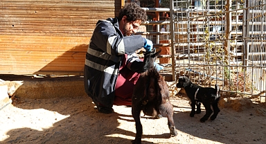 BÜYÜKŞEHİR DOĞAL YAŞAM PARKI’NDA KIŞ TEDBİRLERİ 