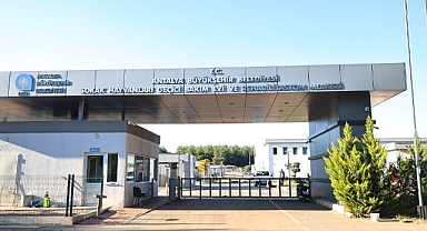  SOKAK HAYVANLARI GEÇİCİ BAKIMEVİ CAN DOSTLARA YENİ YUVA YOLU OLUYOR