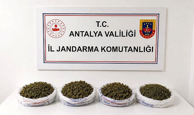 Alanya'da uyuşturucu operasyonu