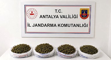 Alanya'da uyuşturucu operasyonu