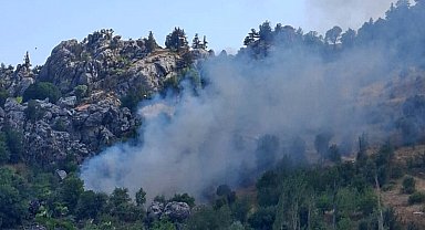 Alanya'da zirai alanda çıkan yangın söndürüldü