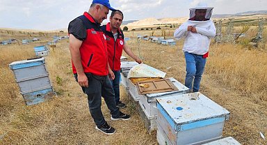 Arı kovanları kayıt altına alındı