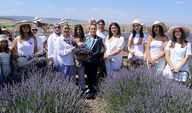Burdur'da lavanta hasadı