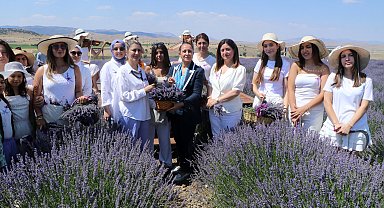Burdur'da lavanta hasadı