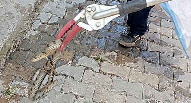 Eve giren yılanı itfaiye ekibi yakaladı