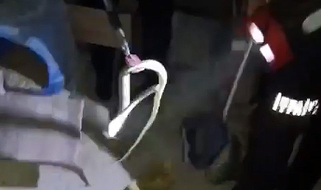 Evin bodrumuna giren yılan itfaiye tarafından yakalandı