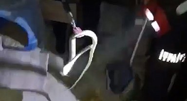 Evin bodrumuna giren yılan itfaiye tarafından yakalandı