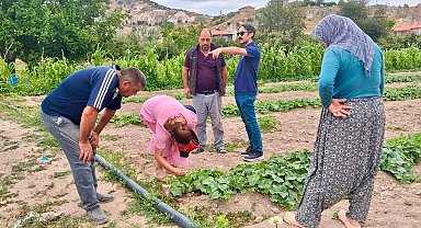 Hastalık ve zararlı takip çalışmaları