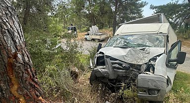 Kamyonet ağaca çarptı: 1 ölü