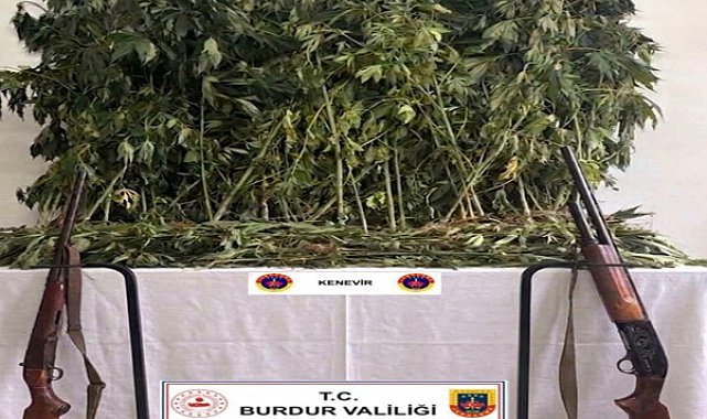 Kenevir operasyonunda 1 tutuklama
