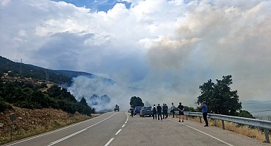 Orman yangını büyümeden söndürüldü