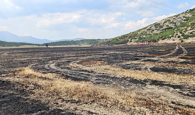 Ormana sıçrayan arazi yangını söndürüldü