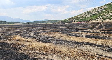 Ormana sıçrayan arazi yangını söndürüldü