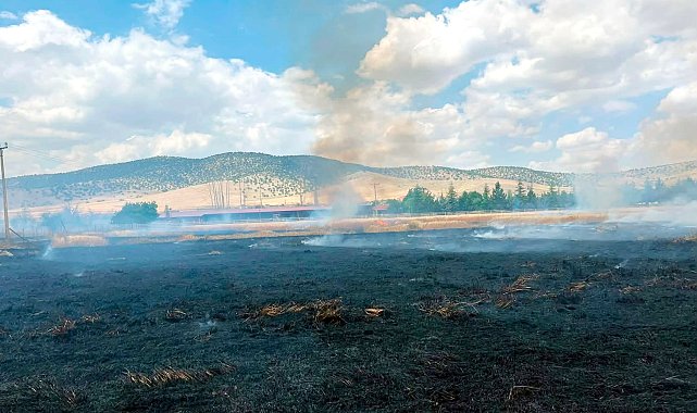 Tarlalar yangında kül oldu