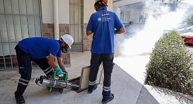 Vektörle mücadele ekipleri bilgi ve deneyimlerini geliştiriyor
