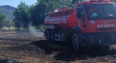 Yangında 20 dönüm zarar gördü