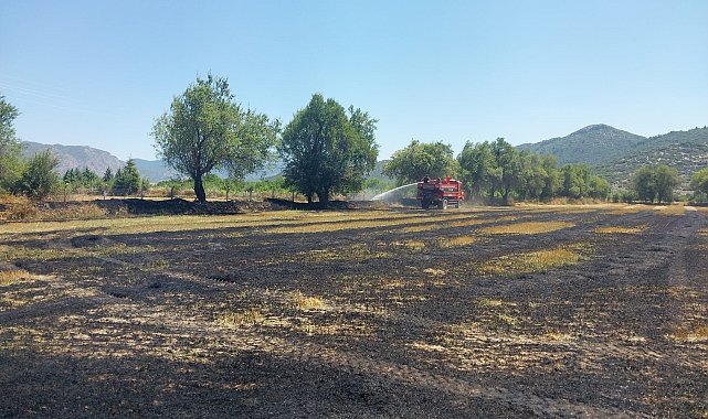 Yangında tarla ve ağaçlar zarar gördü