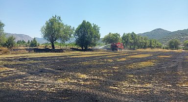 Yangında tarla ve ağaçlar zarar gördü