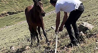 Yılkı atları için kurulan tuzaklar imha edildi