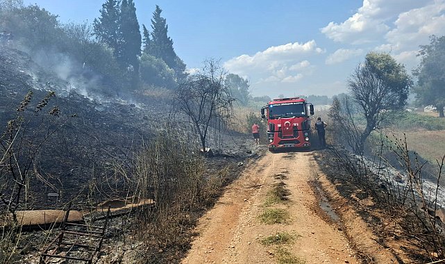 Yol kenarında başlayan yangın söndürüldü